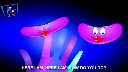 finger family | jelly been finger family | daddy finger daddy finger