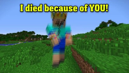 Noob vs. Pro - Minecraft