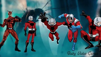 SuperHeroes Ant Man Song for Kids Ant Man Nursery Rhymes575