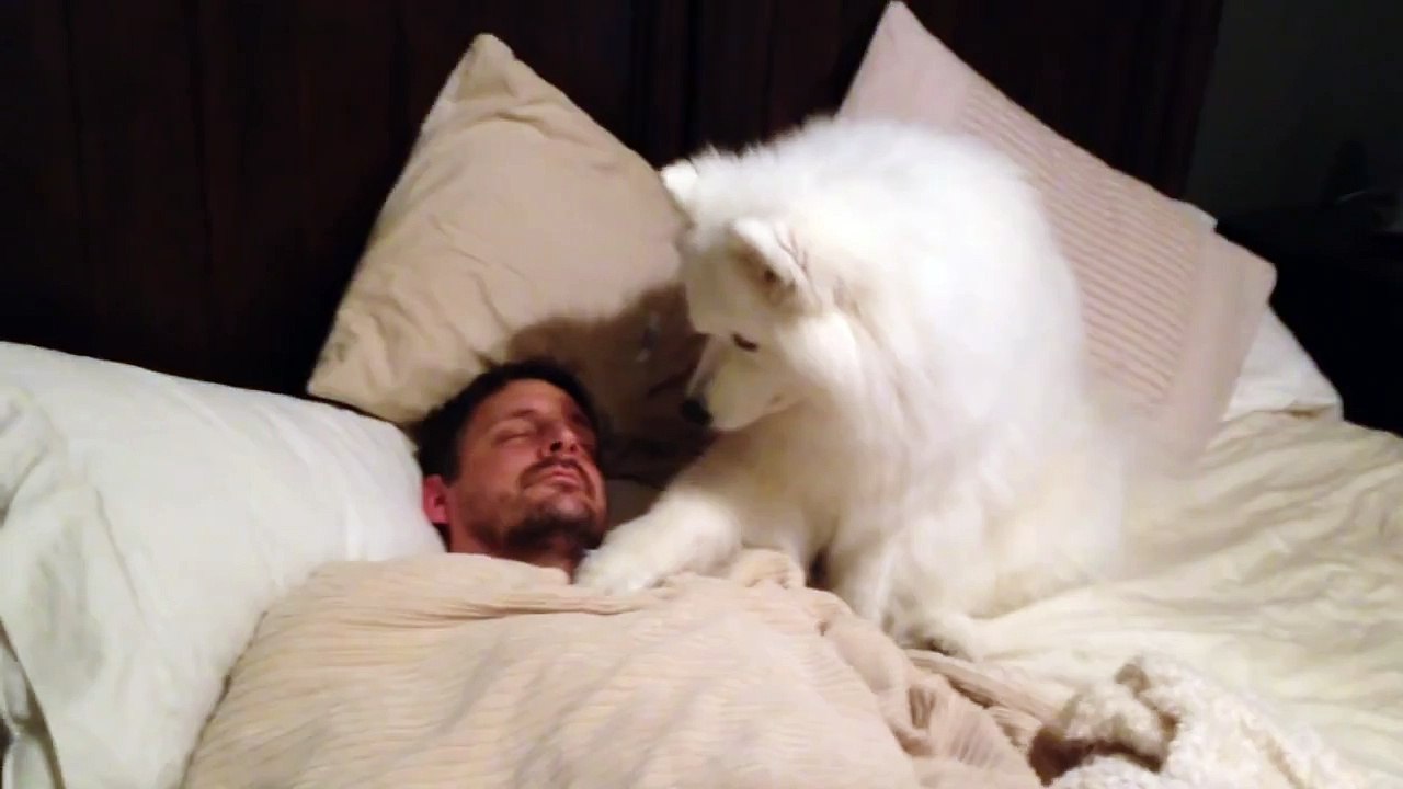 Lexi Wakes Dad UP