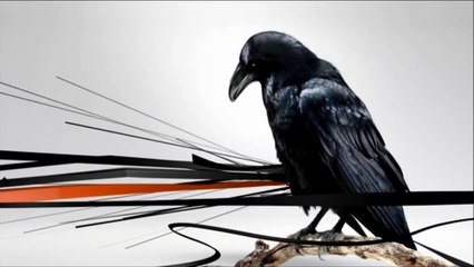 Ptak, zapalniczka, perfumy, kamera