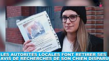 Les autorités locales font retirer ses avis de recherches de son chien disparu ! Plus d'infos dans la minute chien #127