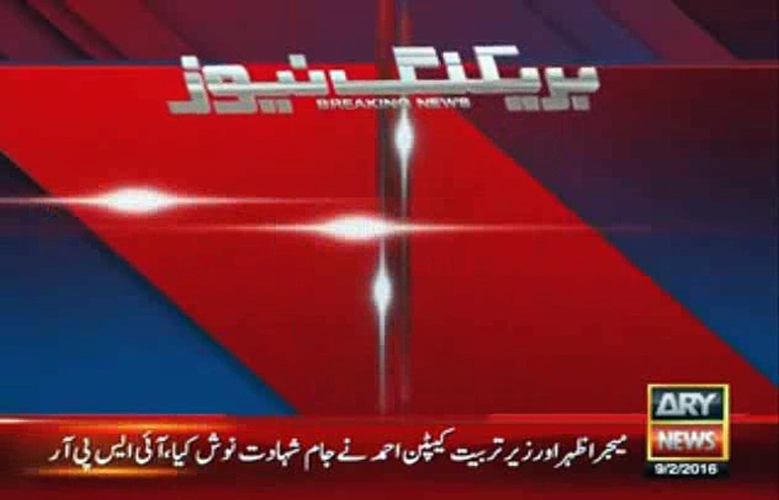 Army Aviation Plane Crashed