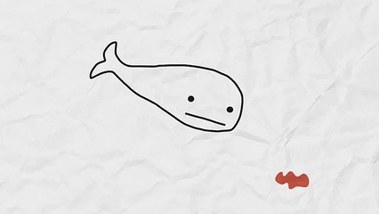 Киты и бумага: забавные факты и приколы 🐋📄