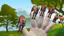 Finger Family Nursery Rhymes for Children Lion TIger Cartoons | Cheetah Finger Family Rhymes
