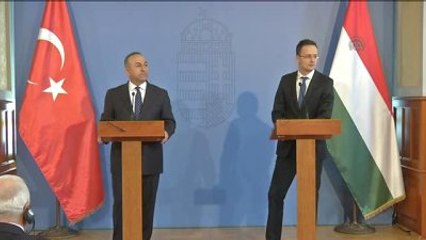 Mevlüt Çavuşoğlu: "Yarın O Yılan Gelir Sizi de Sokar"