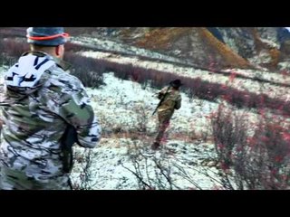 Jim Shockeys Hunting Adventures - Life of a Bear Guide