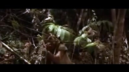 카지노가입머니【 KOP77。COM 】마이크로게임