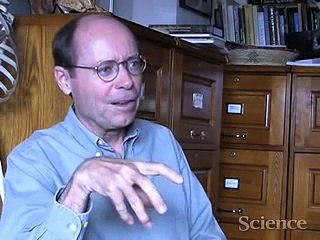 The Analysis of Ardipithecus ramidus One of the Earliest Known Hominids