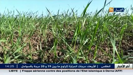 عالم المال و الأعمال في الأخبار الإقتصادية ليوم 09 فيفري 2016