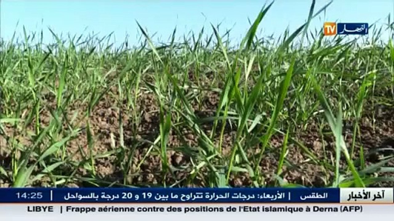 عالم المال و الأعمال في الأخبار الإقتصادية ليوم...