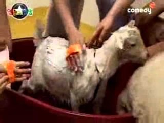 [동물이 산다] eps4-2