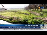 أخبار الجزائر العميقة في الموجز المحلي ليوم الثلاثاء 09 فيفري 2016