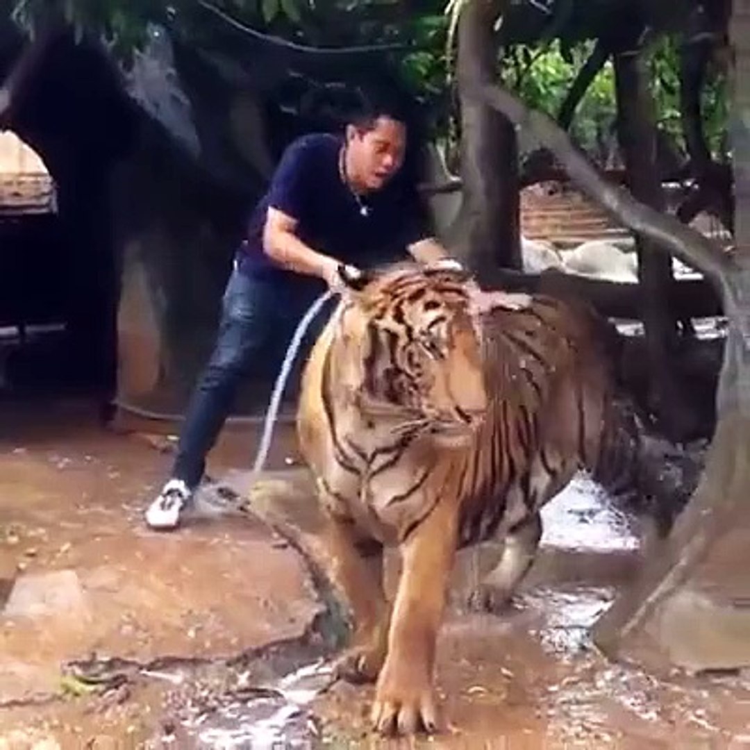 AMAZING !