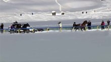 Peut être pas de grand prix cette annee