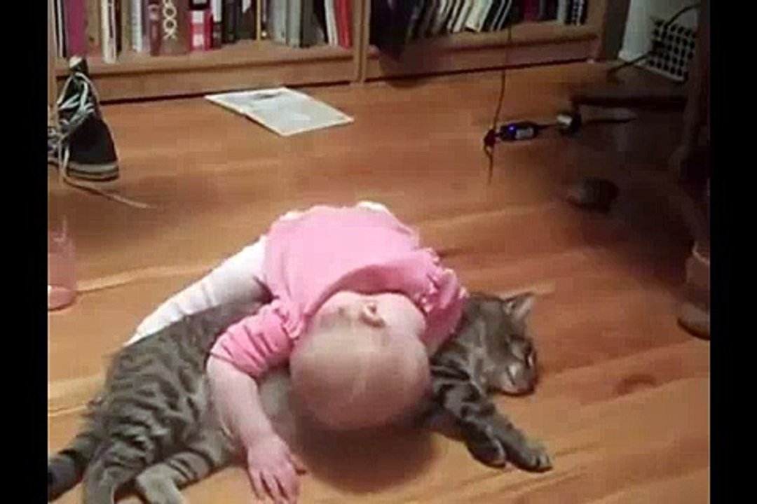 Funny Baby & Cat