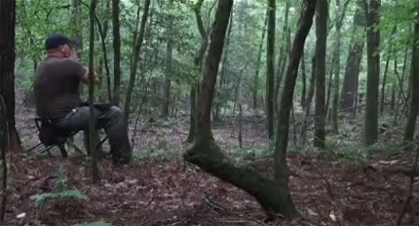 Un homme imite le hurlement des coyotes en plein dans la forêt