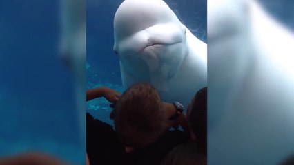 Kids at the Aquarium Compilation | Crazy Fun Club