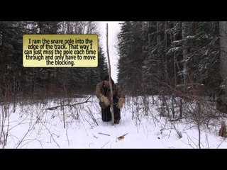 Trapping Inc - Blind Snares for Lynx