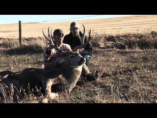 The Bone Yard - The Best of The Bone Yard