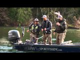 Sportfishing Adventures - Steelhead