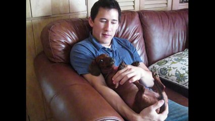 Markiplier Sings with a Puppy