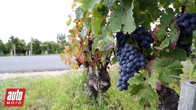 Auto Moto rend visite au domaine Lynch Bages