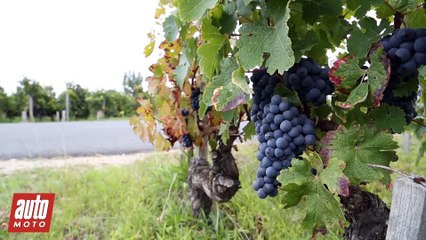 Auto Moto rend visite au domaine Lynch Bages