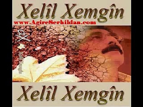 Xelil Xemgin