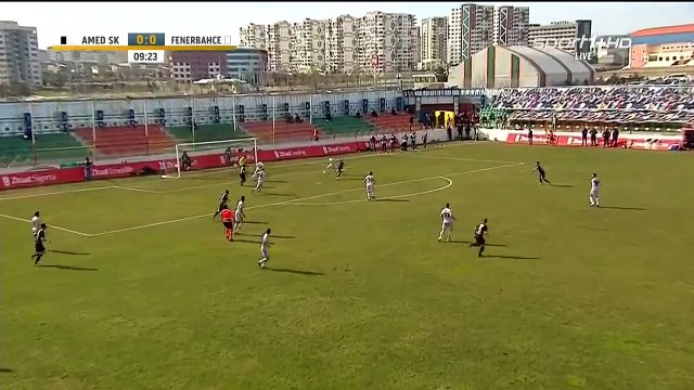Sehmus Ozer - Amedspor 1-0 Fenerbahçe 09.02.2016 HD