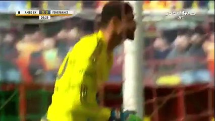 Amedspor 3-3 Fenerbahce All Goals  09.02.2016 HD