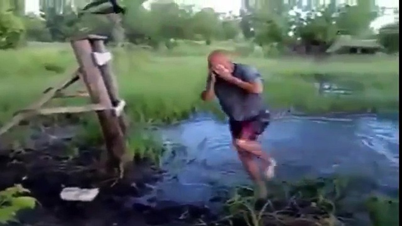 Best funny videos  (HD)