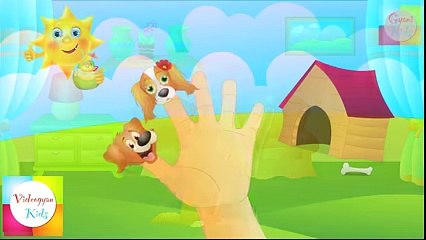 Finger Family Collection - 7 Finger Family Songs - Daddy Finger Nursery Rhymes -