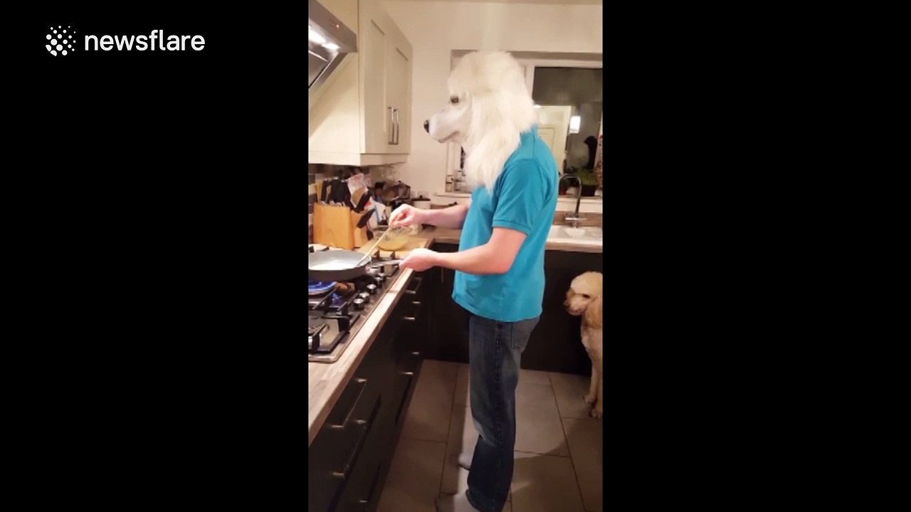 Chef poodle taking over Pancake day