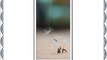 Hisense U966 Color blanco - Smartphone (127 cm (5) 854 x 480 Pixeles IPS 13 GHz Qualcomm Snapdragon