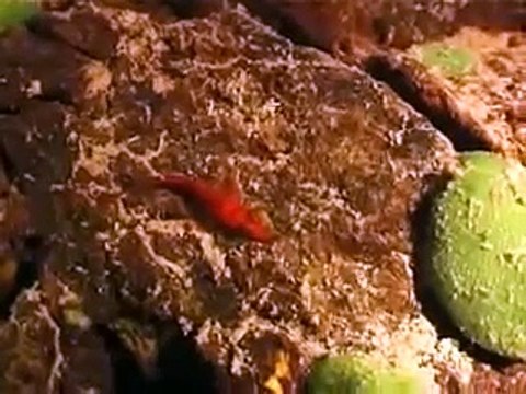 Семь чудес России, Озеро Байкал(Seven wonders of Russia, Baikal Lake)