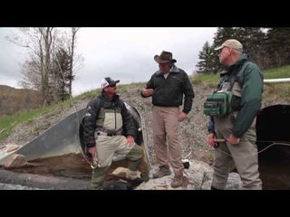 Fly Rod Chronicles - Restoring the Brook Trout Population