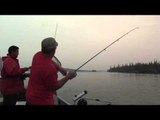 Maximum Limit Fishing - Sandy Trout