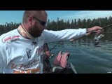 Maximum Limit Fishing - Brabant Grayling