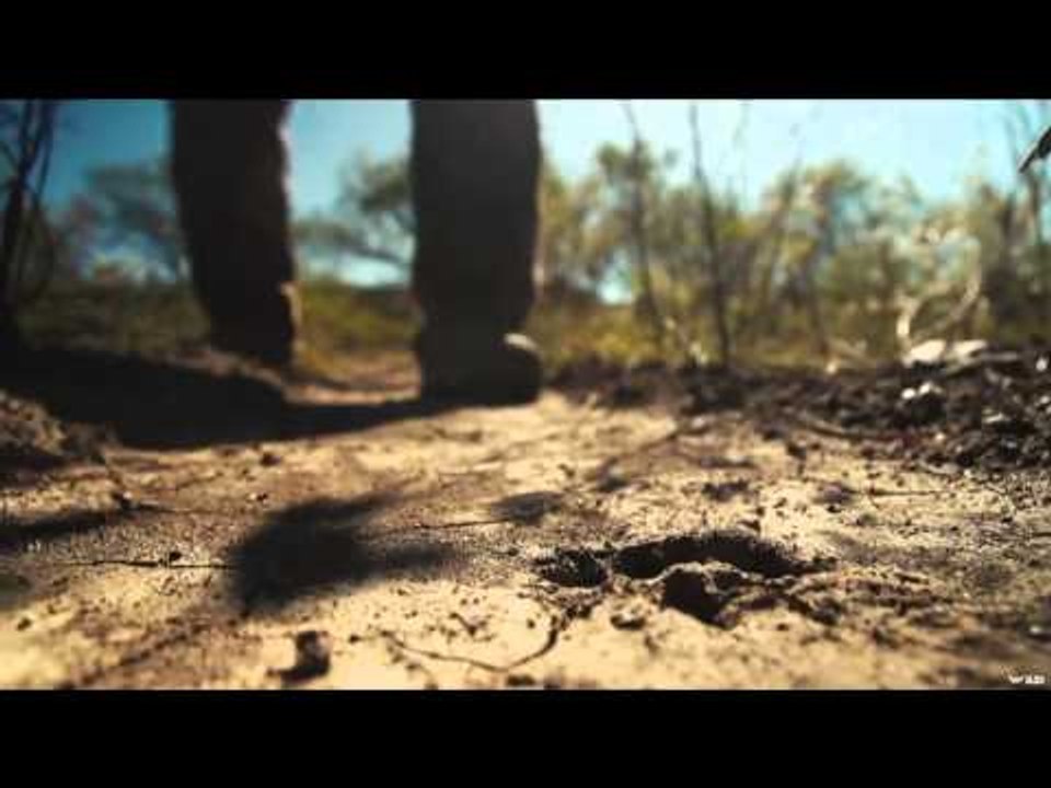 Predator Pursuit with Jeff Thomason - Surrender