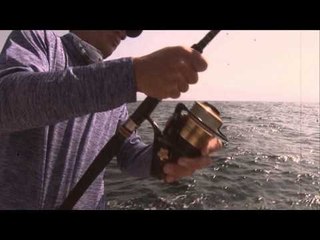 North American Fisherman  - Panama Tuna