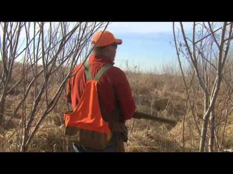 The Flush - A Frozen River