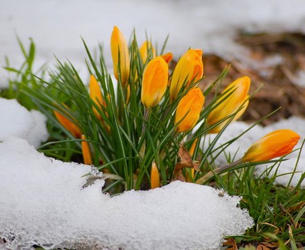 Весна! Красивая мелодия для души!