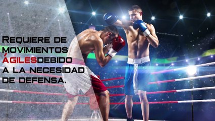 Boxeo vs Kickboxing ¿Cuál es el más peligroso?