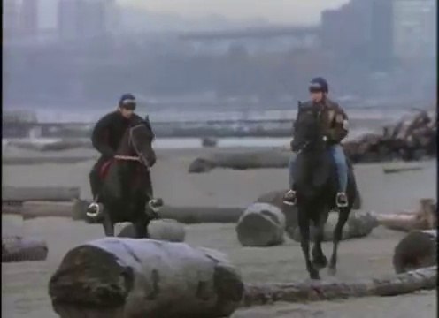 L'étalon noir tel père tel fils