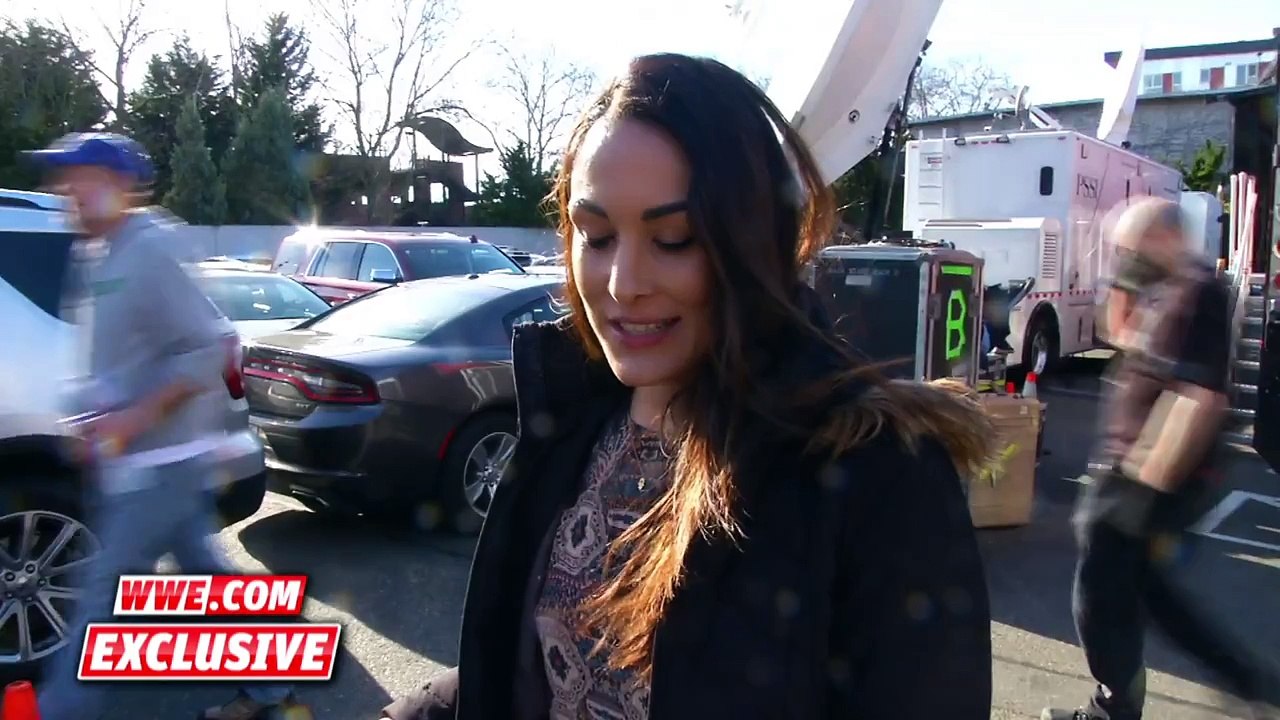 Brie Bella reflects on her husband’s career- February 8, 2016