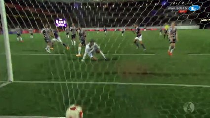 Friesenbichler K. GOAL - Austria Vienna	1-0	LASK Linz - 09.02.2016