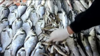 Gıda Zehirlenmesi Şüphesi