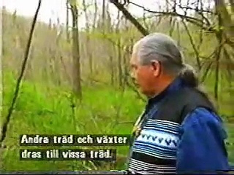 (Part 2) Indigenous Native American Prophecy (Elders Speak part 2)