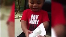 Adorable baby boy with contagious laugh thinks donkeys are hilarious